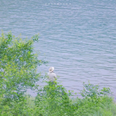 兽设海洋场景设计福瑞交流群